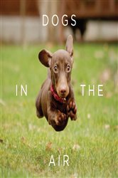 Book cover: Dogs in the Air, by Jack Bradley (preview)