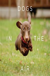 Book cover: Dogs in the Air, by Jack Bradley (preview)