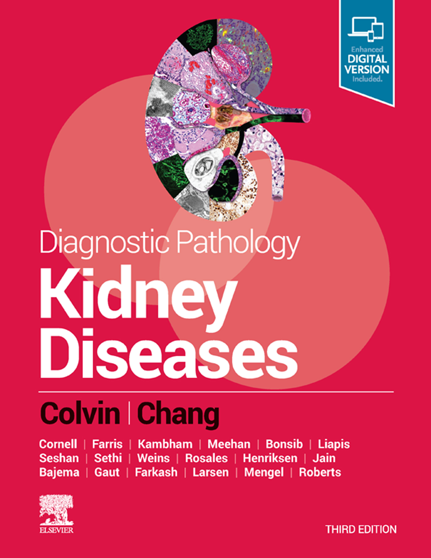Diagnostic Pathology: Kidney Diseases E-Book (3rd ed.)
