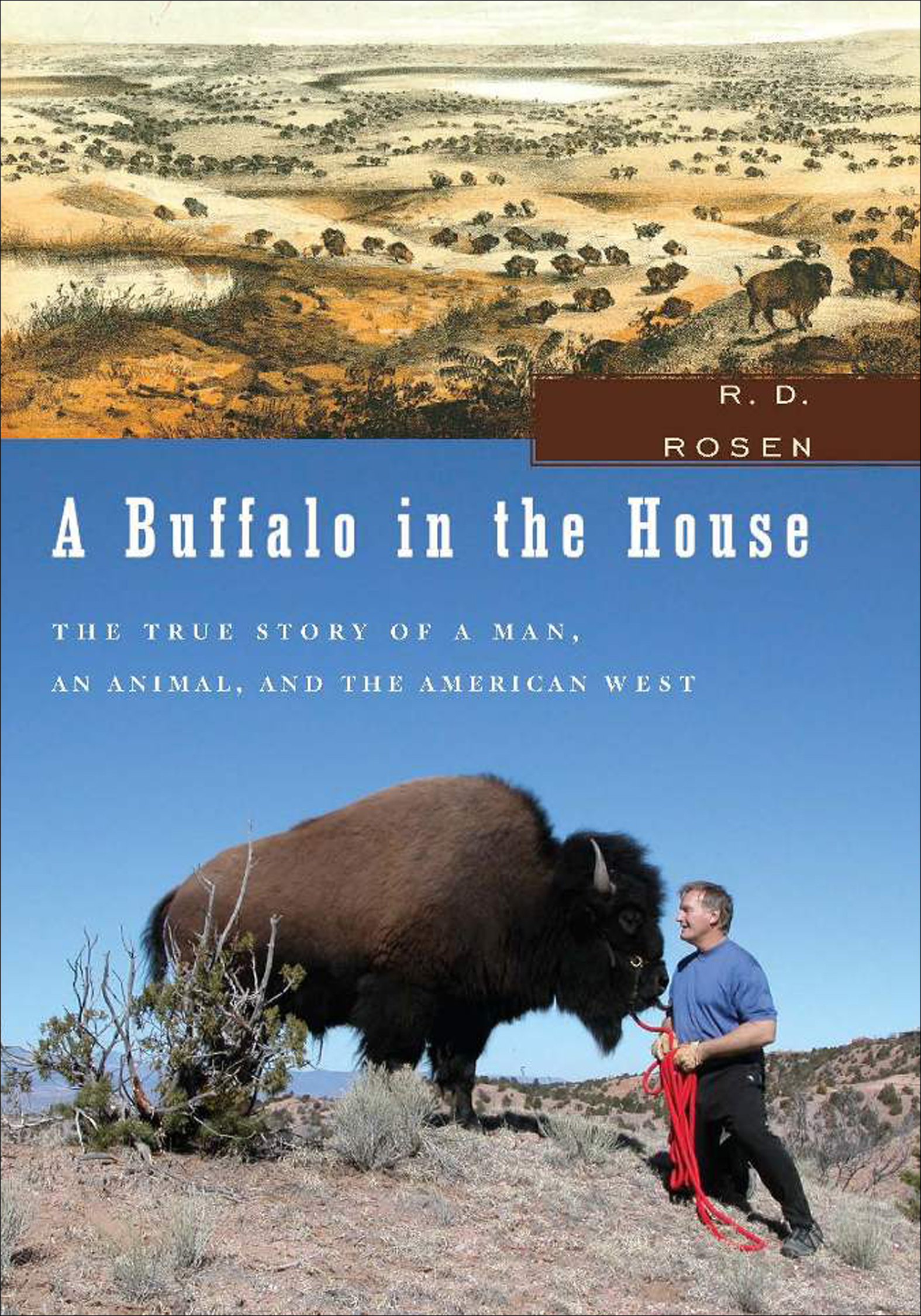 A Buffalo in the House - 15-24.99