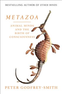 Book cover: Metazoa, by Peter Godfrey-Smith (preview)