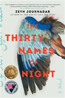 Book cover: The Thirty Names of Night, by Zeyn Joukhadar (preview)