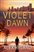 lazy-nofade placeholder