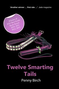 Book cover: Twelve Smarting Tails, by Penny Birch (preview)