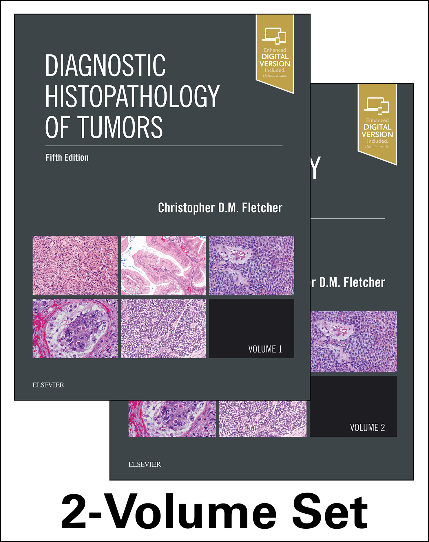 健康・医学 Diagnostic Histopathology of Tumors(5th) Diagnostic Histopathology of Tumors E-Book (5th ed.)