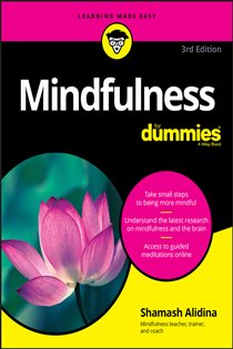 Book cover: Mindfulness For Dummies, by Shamash Alidina (preview)