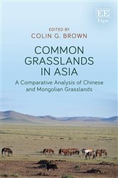 Common Grasslands in Asia: A Comparative Analysis of Chinese and Mongolian Grasslands