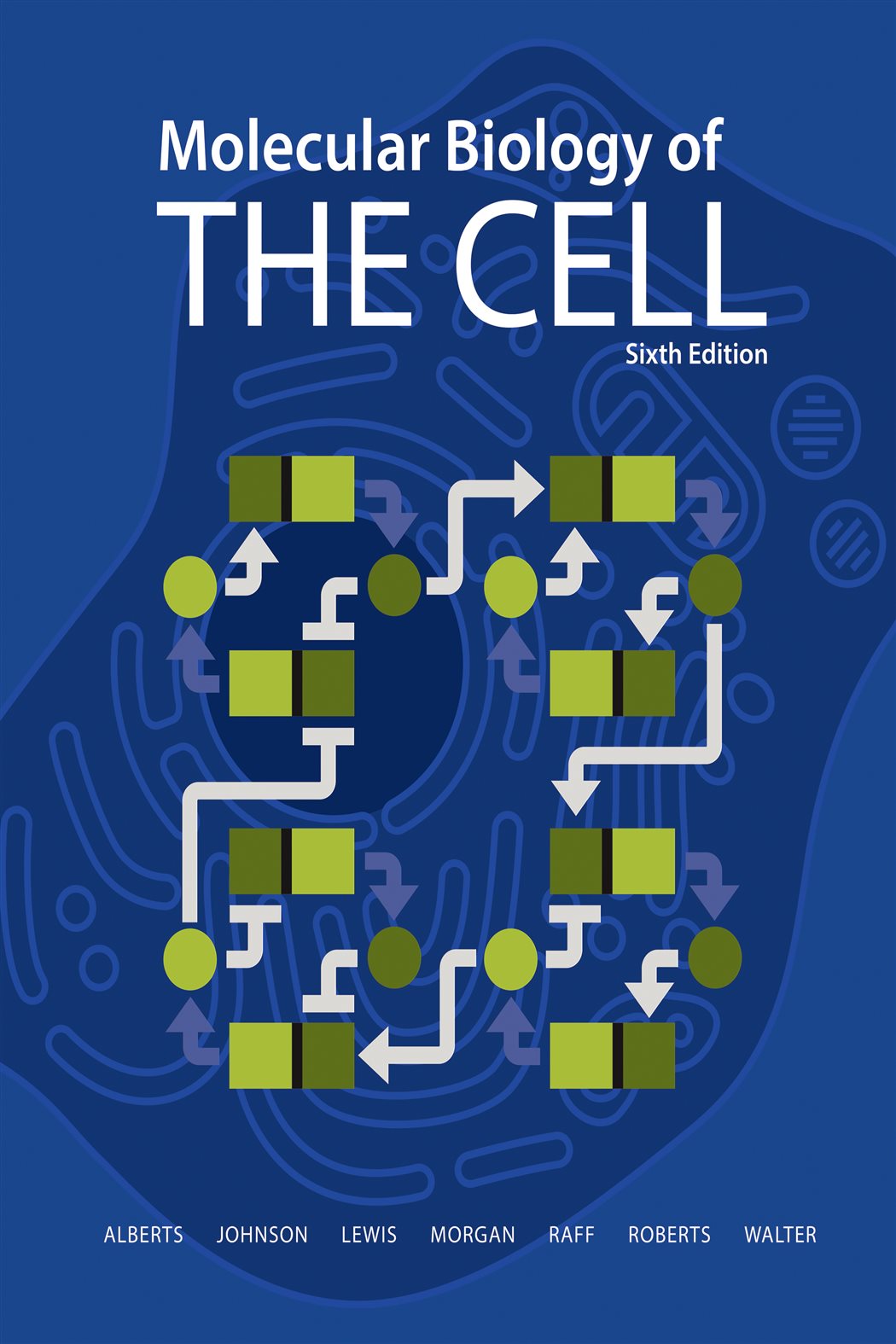 Cell 6 Science Molecular Biology of the Cell (6th ed.) by Bruce Alberts (ebook)