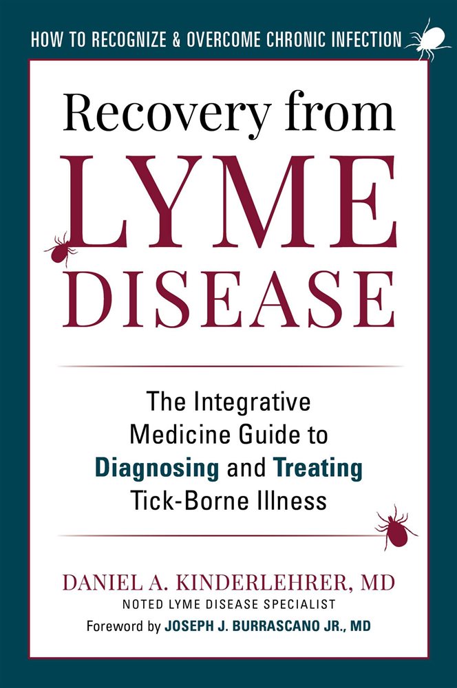 Recovery from Lyme Disease by Daniel A. Kinderlehrer (ebook)