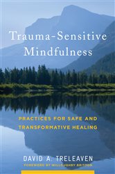 Book cover: Trauma-Sensitive Mindfulness: Practices for Safe and Transformative Healing, by David A. Treleaven (preview)
