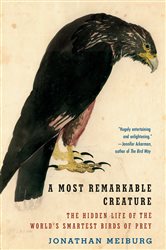 A Most Remarkable Creature: The Hidden Life of the World&#x27;s Smartest Birds of Prey