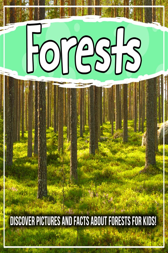 Forests: Discover Pictures and Facts About Forests For Kids!