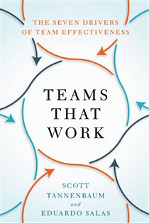 Book cover: Teams That Work, by Scott Tannenbaum (preview)