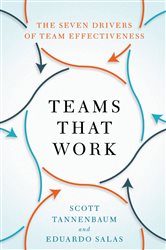 Teams That Work: The Seven Drivers of Team Effectiveness