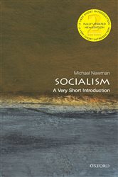 Book cover: Socialism, by Michael Newman (preview)