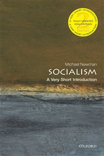 Book cover: Socialism, by Michael Newman (preview)