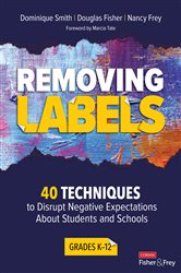 Removing Labels, Grades K-12: 40 Techniques to Disrupt Negative Expectations About Students and Schools