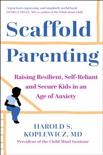 Book cover: The Scaffold Effect, by Harold Koplewicz (preview)