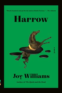 Book cover: Harrow, by Joy Williams (preview)