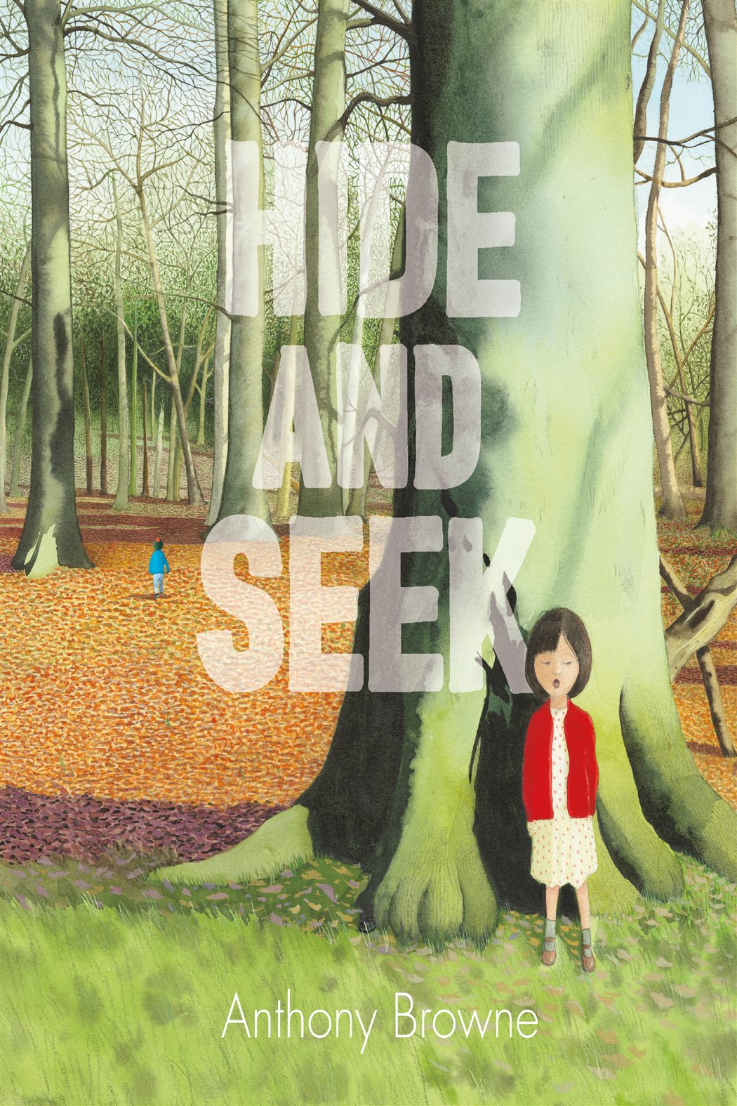 Hide and Seek by Anthony Browne (ebook)