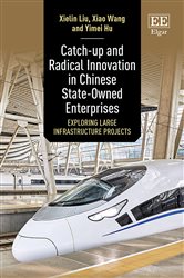 Catch-up and Radical Innovation in Chinese State-Owned Enterprises: Exploring Large Infrastructure Projects