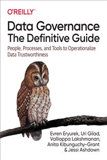 Book cover: Data Governance: The Definitive Guide, by Evren Eryurek (preview)