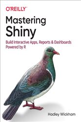 Book cover: Mastering Shiny, by Hadley Wickham (preview)