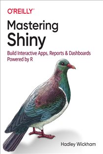 Book cover: Mastering Shiny, by Hadley Wickham (preview)