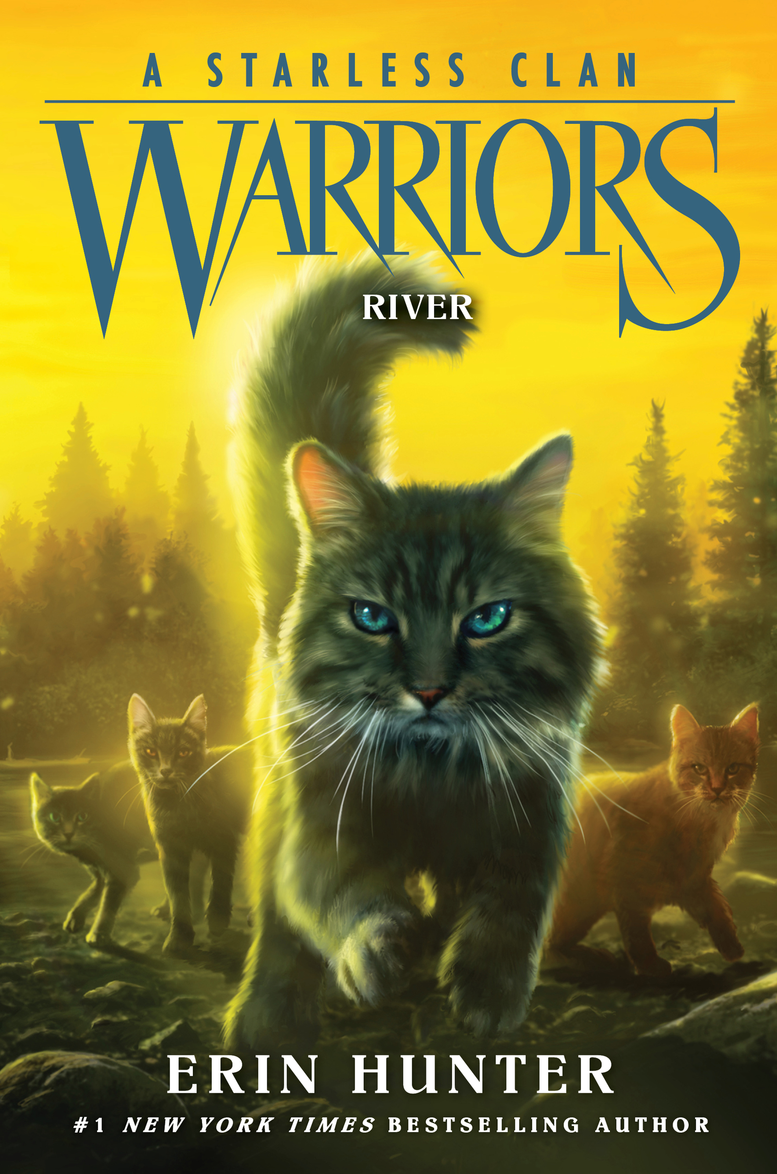 Warriors: A Warrior's Spirit eBook by Erin Hunter - EPUB Book