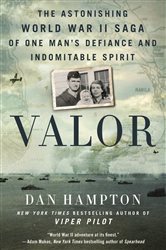 Book cover: Valor, by Dan Hampton (preview)