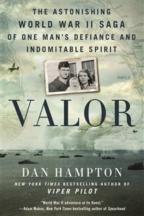 Book cover: Valor, by Dan Hampton (preview)