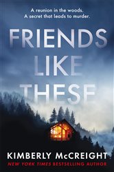 Book cover: Friends Like These, by Kimberly McCreight (preview)