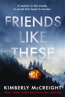 Book cover: Friends Like These, by Kimberly McCreight (preview)