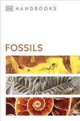 Book cover: Fossils, by DK (preview)