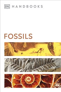 Book cover: Fossils, by DK (preview)