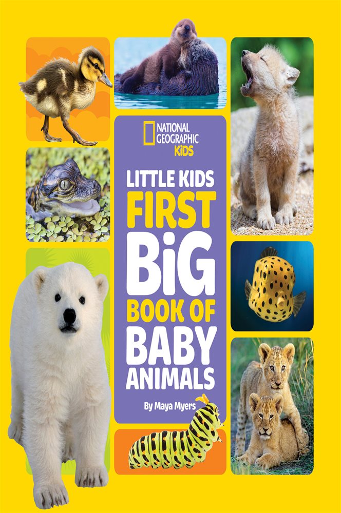 little-kids-first-big-book-of-baby-animals