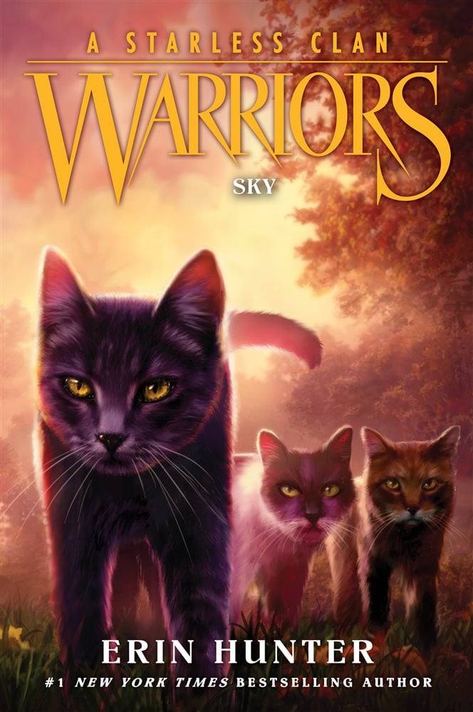 Warriors A Starless Clan 2 Sky by Erin Hunter (ebook)