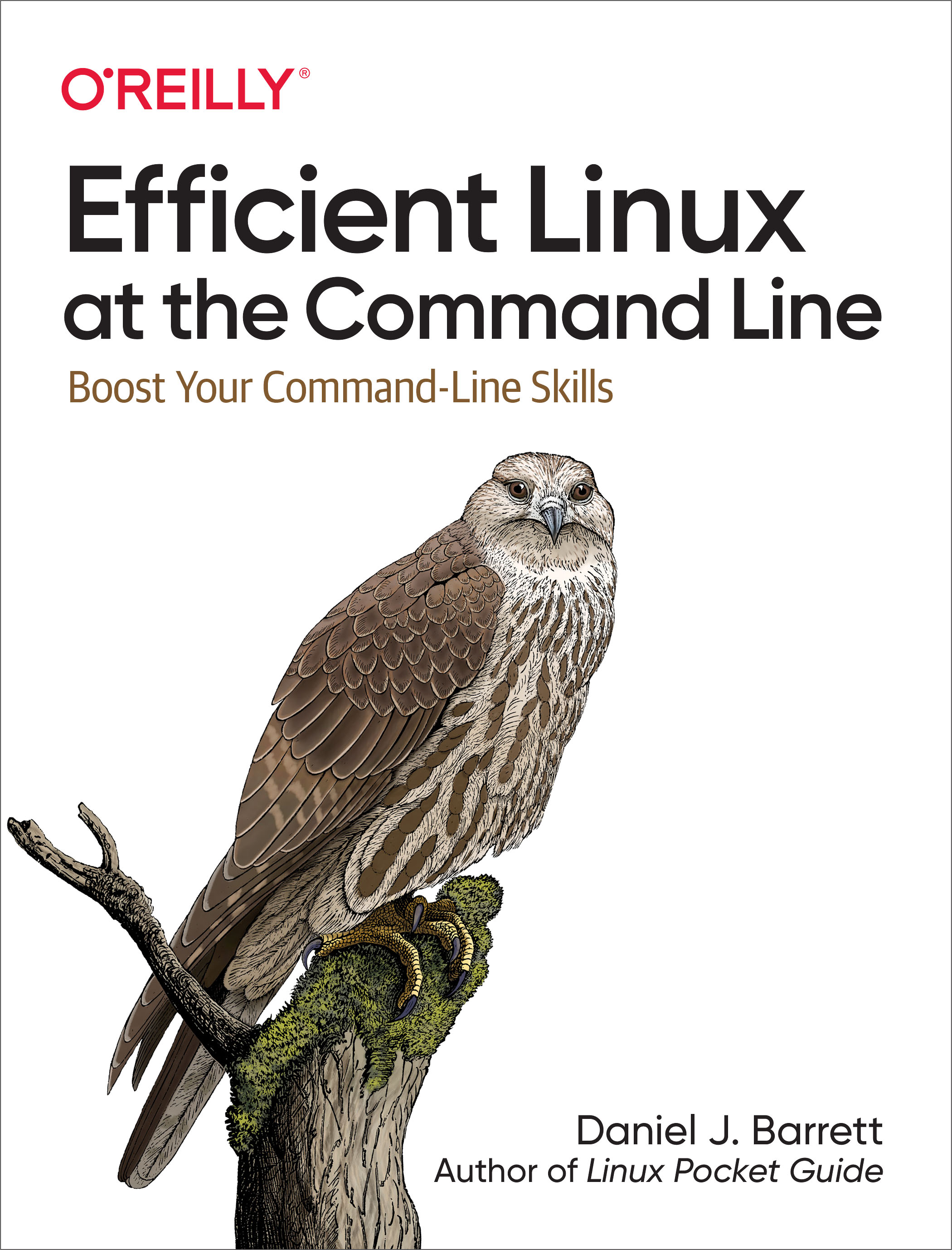 Handbook: Your Linux Skills, PDF, Command Line Interface