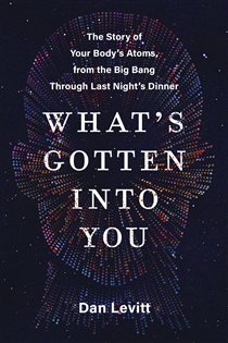Book cover: What's Gotten Into You, by Dan Levitt (preview)