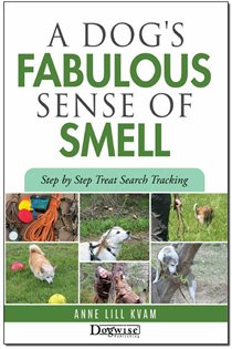 Book cover: A Dog's Fabulous Sense Of Smell, by Anne  Lill Kvam (preview)