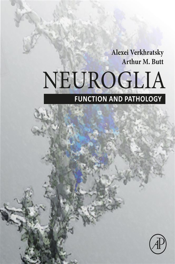 Verkhrytsky Neuroglia: Function and Pathology by Alexei Verkhratsky (ebook)