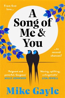 Book cover: A Song of Me and You, by Mike Gayle (preview)