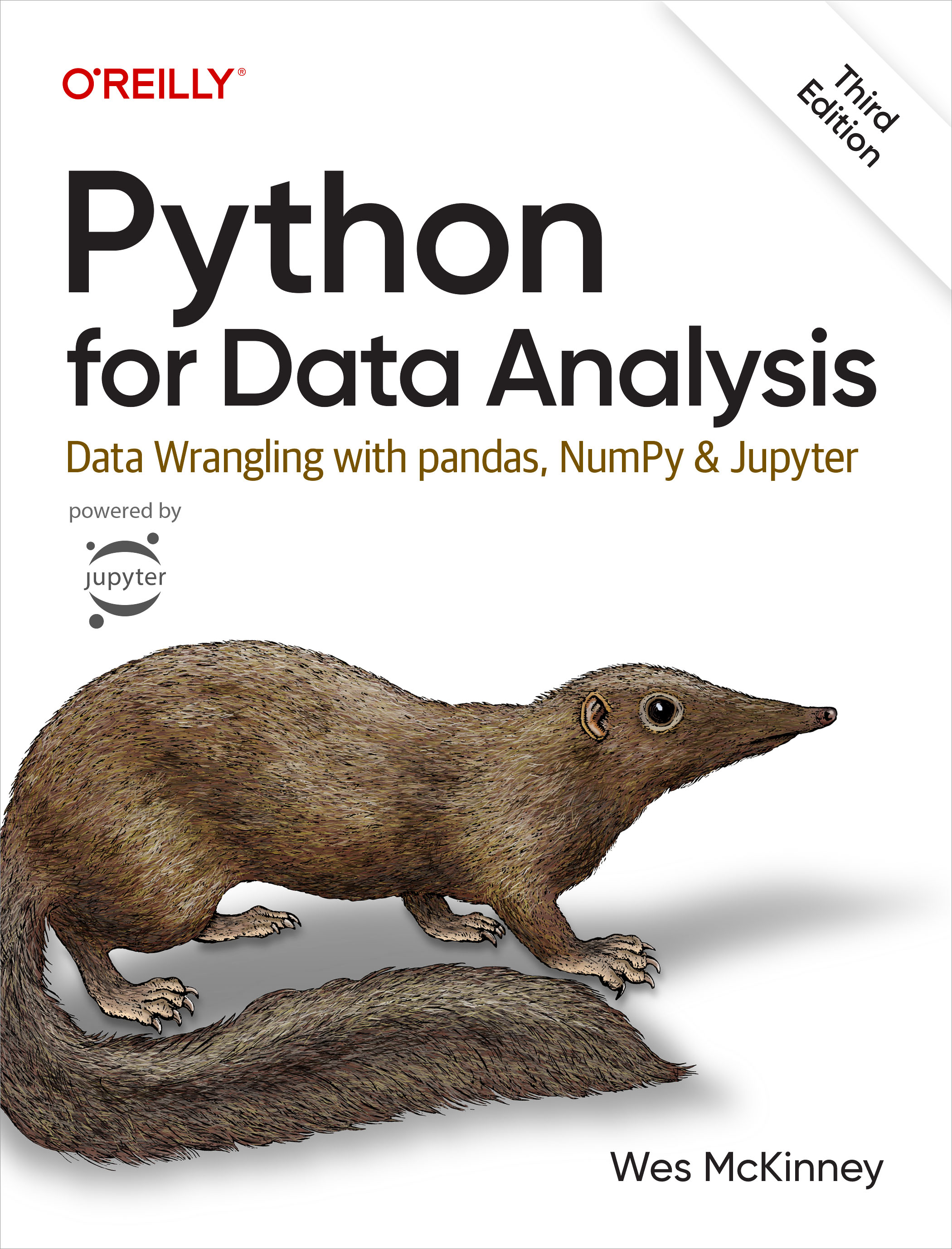 Python for Data Analysis (3rd ed.) by Wes McKinney (ebook)