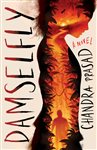 Young Adult Fiction Image 1