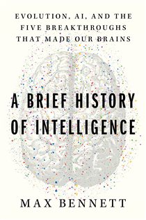 Book cover: A Brief History of Intelligence, by Max S. Bennett (preview)