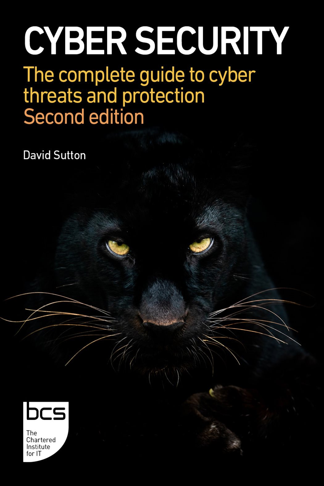 Cyber Security (2nd ed.) by David Sutton (ebook)