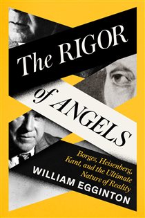 Book cover: The Rigor of Angels, by William Egginton (preview)
