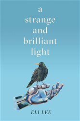 A Strange and Brilliant Light: Winner of the Writers&#x2019; Guild Best First Novel Award