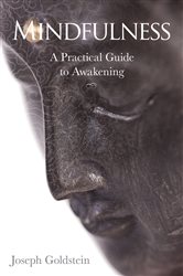 Book cover: Mindfulness, by Joseph Goldstein (preview)