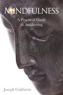 Book cover: Mindfulness, by Joseph Goldstein (preview)